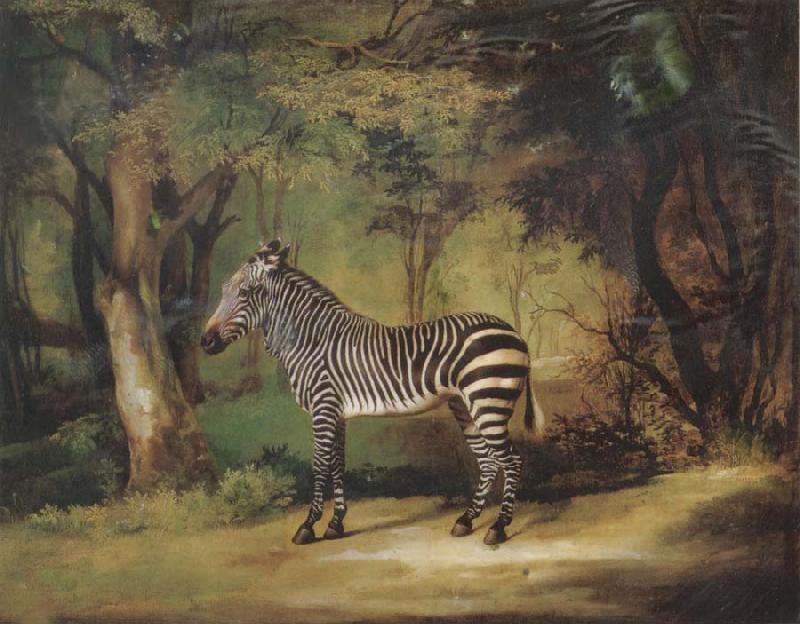George Stubbs Horse Sweden oil painting art